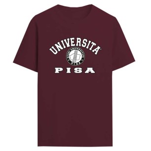 Università Pisa