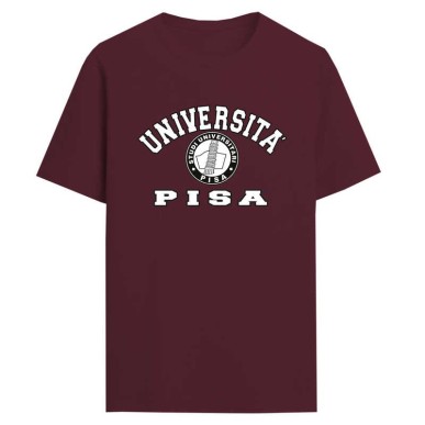 Università Pisa