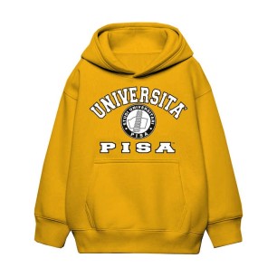 Università Pisa