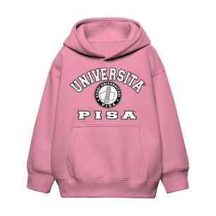 Università Pisa