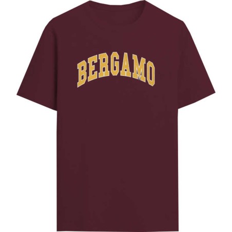 Bergamo College
