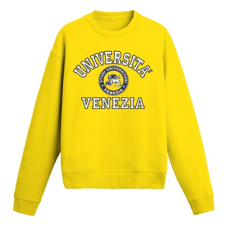 Università Venezia