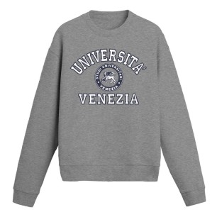 Università Venezia