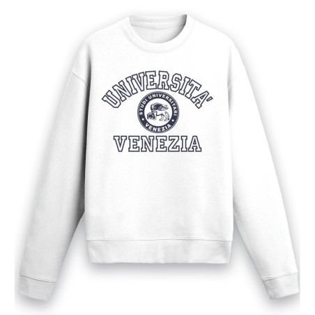 Università Venezia