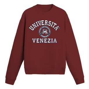 Università Venezia