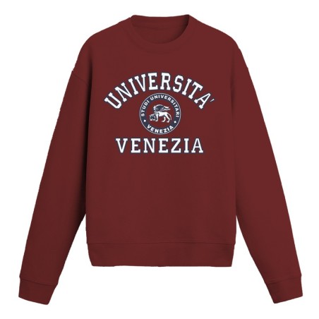 Università Venezia